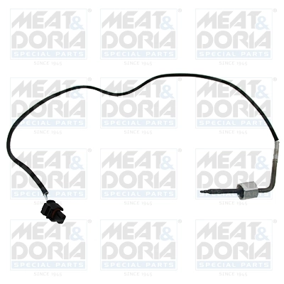 Sensor, exhaust gas temperature